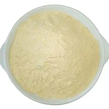 Calcium Folinate Powder